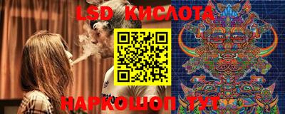 PSILOCYBIN Малоярославец