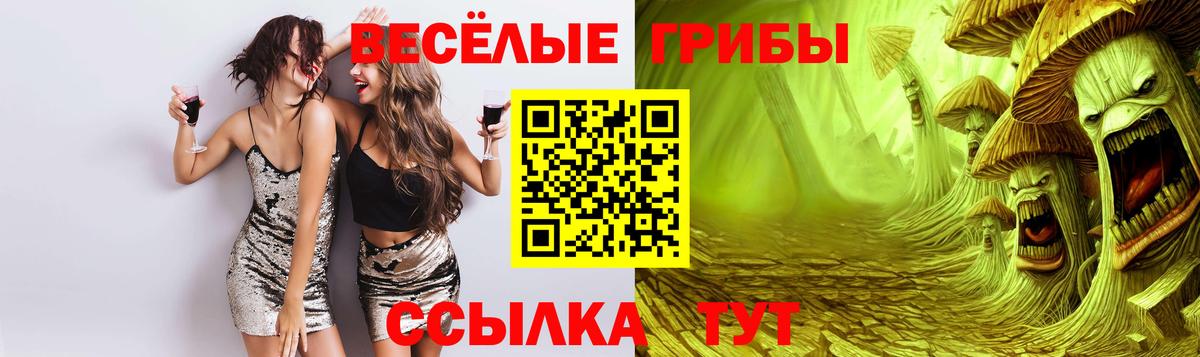 Галлюциногенные грибы Magic Shrooms Ишимбай